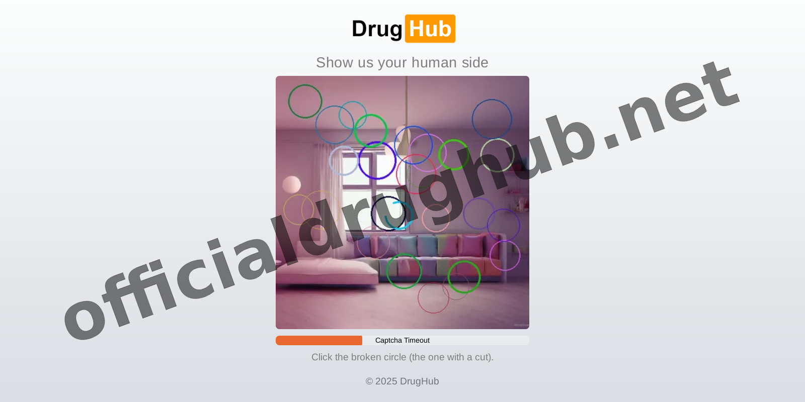 DDoS Protection Gate